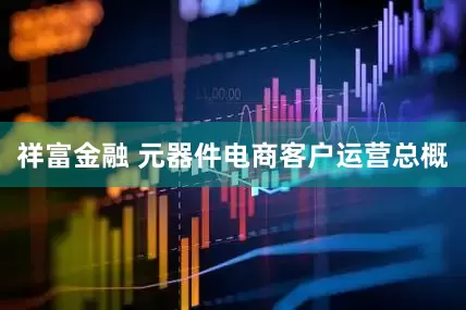 祥富金融 元器件电商客户运营总概