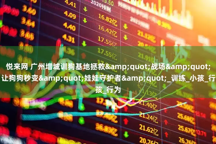 悦来网 广州增城训狗基地拯救&quot;战场&quot;：让狗狗秒变&quot;娃娃守护者&quot;_训练_小孩_行为