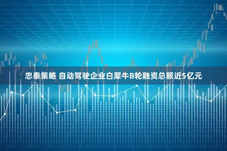 忠泰策略 自动驾驶企业白犀牛B轮融资总额近5亿元