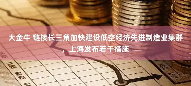 大金牛 链接长三角加快建设低空经济先进制造业集群，上海发布若干措施