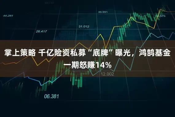 掌上策略 千亿险资私募“底牌”曝光，鸿鹄基金一期怒赚14%