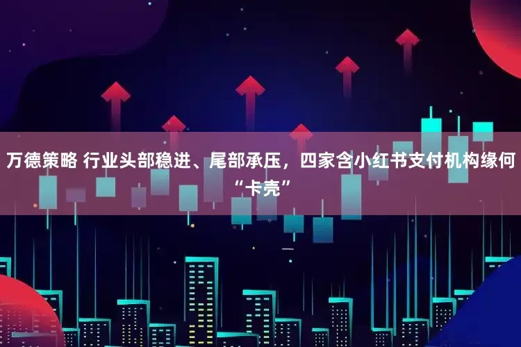 万德策略 行业头部稳进、尾部承压，四家含小红书支付机构缘何“卡壳”
