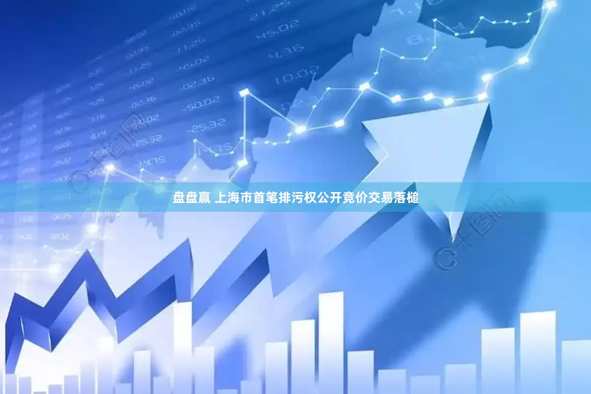 盘盘赢 上海市首笔排污权公开竞价交易落槌